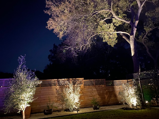 landscape accent outdoor lighting fixtures plano