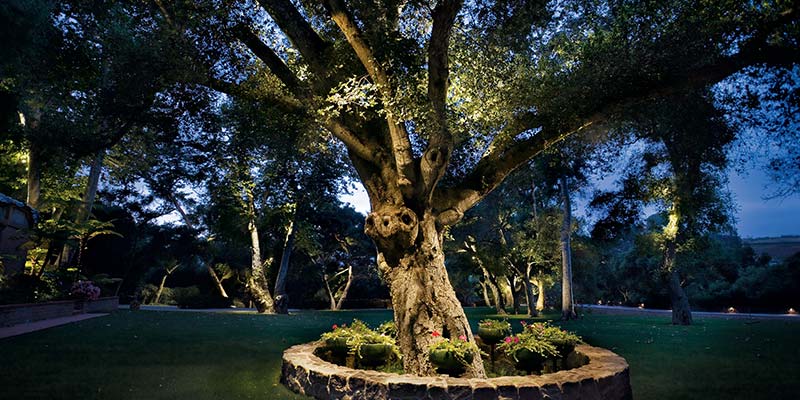 landscape lighting design and installation