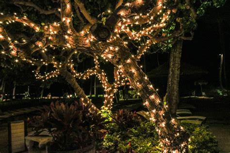 outdoor landscape lighting ideas